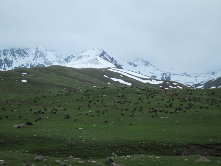 montagnes kirghizistan